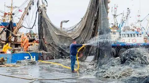 Explican el origen del olor nauseabundo percibido esta mañana en Talcahuano