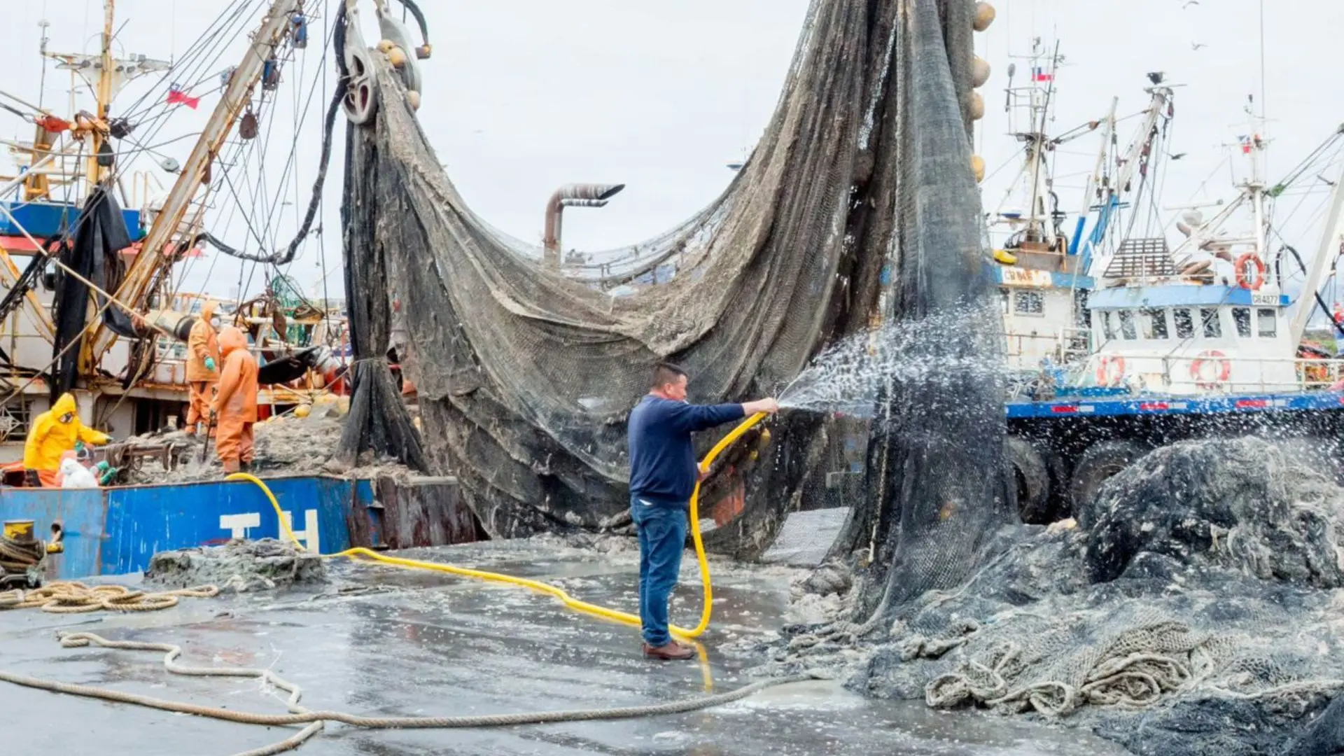 Explican el origen del olor nauseabundo percibido esta mañana en Talcahuano