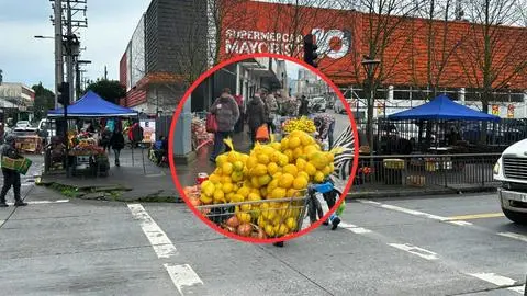 Los toldos azules de Concepción: El plan para recuperar las calles tomadas por el comercio informal