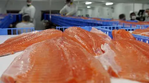 Emiten alerta alimentaria por listeria en lote de salmón ahumado