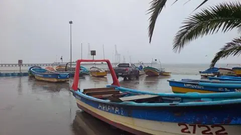 Olas alcanzarían los 3 metros de altura: Así sería la llegada del tsunami a las costas del Biobío según académico UCSC