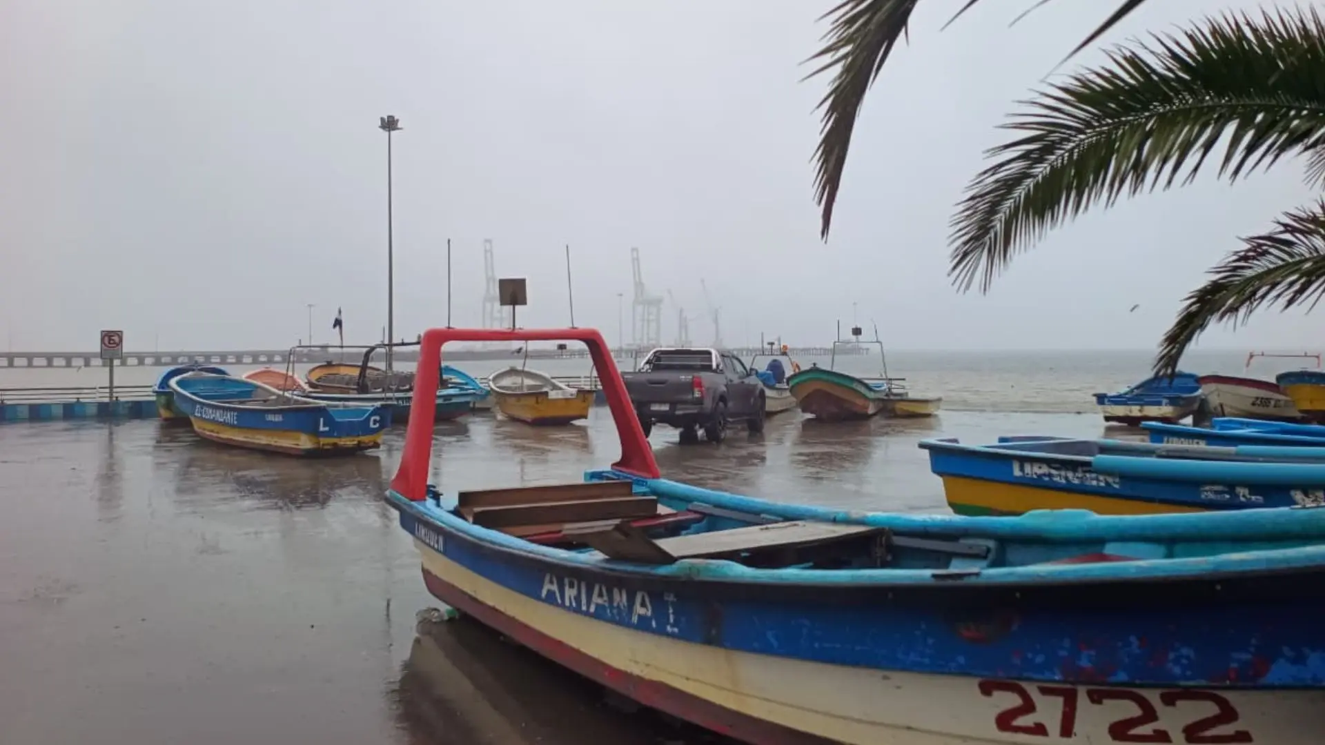 Olas alcanzarían los 3 metros de altura: Así sería la llegada del tsunami a las costas del Biobío según académico UCSC