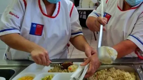 Junaeb instruye dejar de cocinar en todo el país con las cuestionadas marcas de jurel