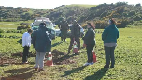 Hallan cráneo en sector Puerto Sur de Isla Santa María: Aún conserva parte de su dentadura
