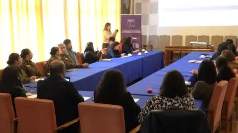 Plan 10 comunas contra la violencia hacia las mujeres: Provincia de Biobío concentra las situaciones más críticas en esta materia
