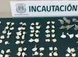 Detienen a mujer que intentó ingresar drogas a la cárcel en sus genitales