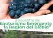 Invitan a “Encuentro de Enoturismo Emergente” en la Provincia de Biobío