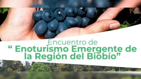 Invitan a “Encuentro de Enoturismo Emergente” en la Provincia de Biobío