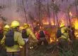 Incendios forestales: Arauco combate 1.900% más siniestros en Chile que en Argentina