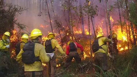 Preparación y preocupación: El Biobío con la mira en los incendios forestales