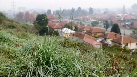 Intenso frío en Gran Concepción y Biobío: Estas comunas alcanzarían -4°C de mínima este sábado