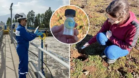 Aguas residuales convertidas en fertilizante: innovador proyecto busca recuperar fósforo para la agricultura