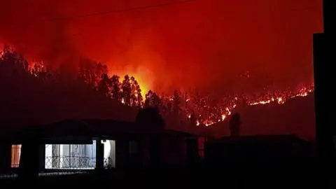 El oficio que pide una excepción para aplicar fuego técnico en el Gran Concepción y Los Ángeles: Busca reducir combustible forestal acumulado en seis años