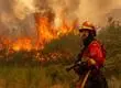 Altas temperaturas, sequías extendidas y combustible acumulado avivan los peores incendios forestales en el hemisferio norte