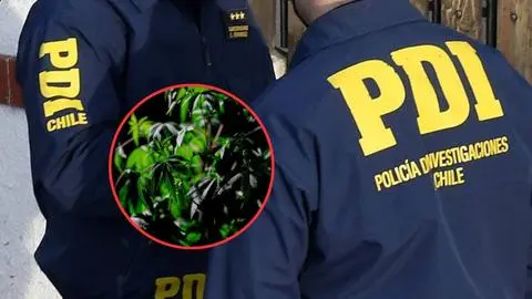 Dueño de propiedad muere luego de discutir con arrendatario en Los Lagos: Discutían por cultivo marihuana indoor en la vivienda