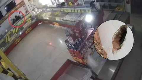Delincuentes roban carnicería en La Reina: Crearon un agujero en la pared para ingresar