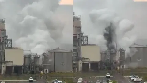 Registran grave fuga de químicos en planta de Celulosa Arauco en Los Ríos: SMA anunció investigación