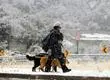 Pronostican nevadas en la región Metropolitana: Podría llegar a Santiago Centro y Plaza Italia