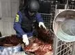 Fiscalía en el Biobío pide a compañías identificar cables robados para agilizar investigaciones