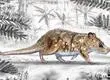 Descubren fósil de pequeño mamífero que convivió con dinosaurios en la Patagonia