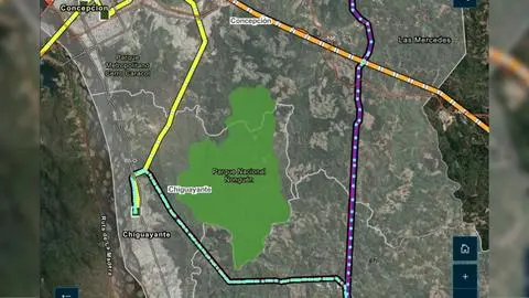 Un anillo de líneas de alta tensión encerrará al Parque Nacional Nonguén en proyecto de carretera eléctrica