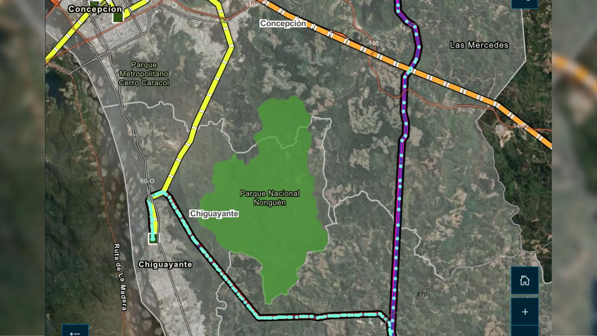 Un anillo de líneas de alta tensión encerrará al Parque Nacional Nonguén en proyecto de carretera eléctrica