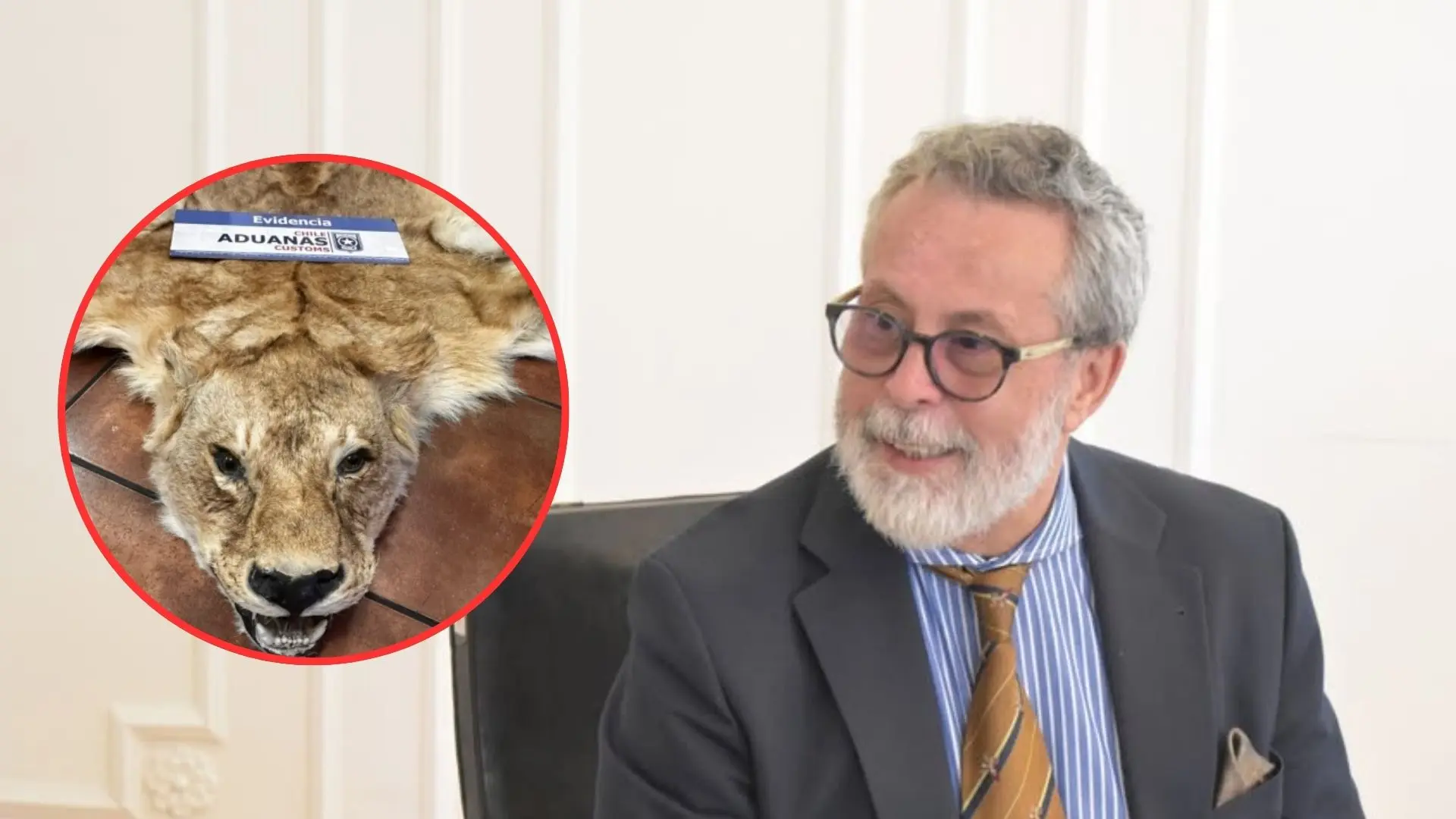 Exembajador queda con arraigo nacional tras ser sorprendido contrabandeando pieles de animales exóticos