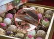 San Pedro de la Paz celebra “La Fiesta del Chocolate” con entrada liberada para el público y múltiples expositores