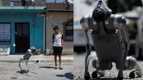 Waldog, el perro robot que lucha contra el maltrato animal en Mexico