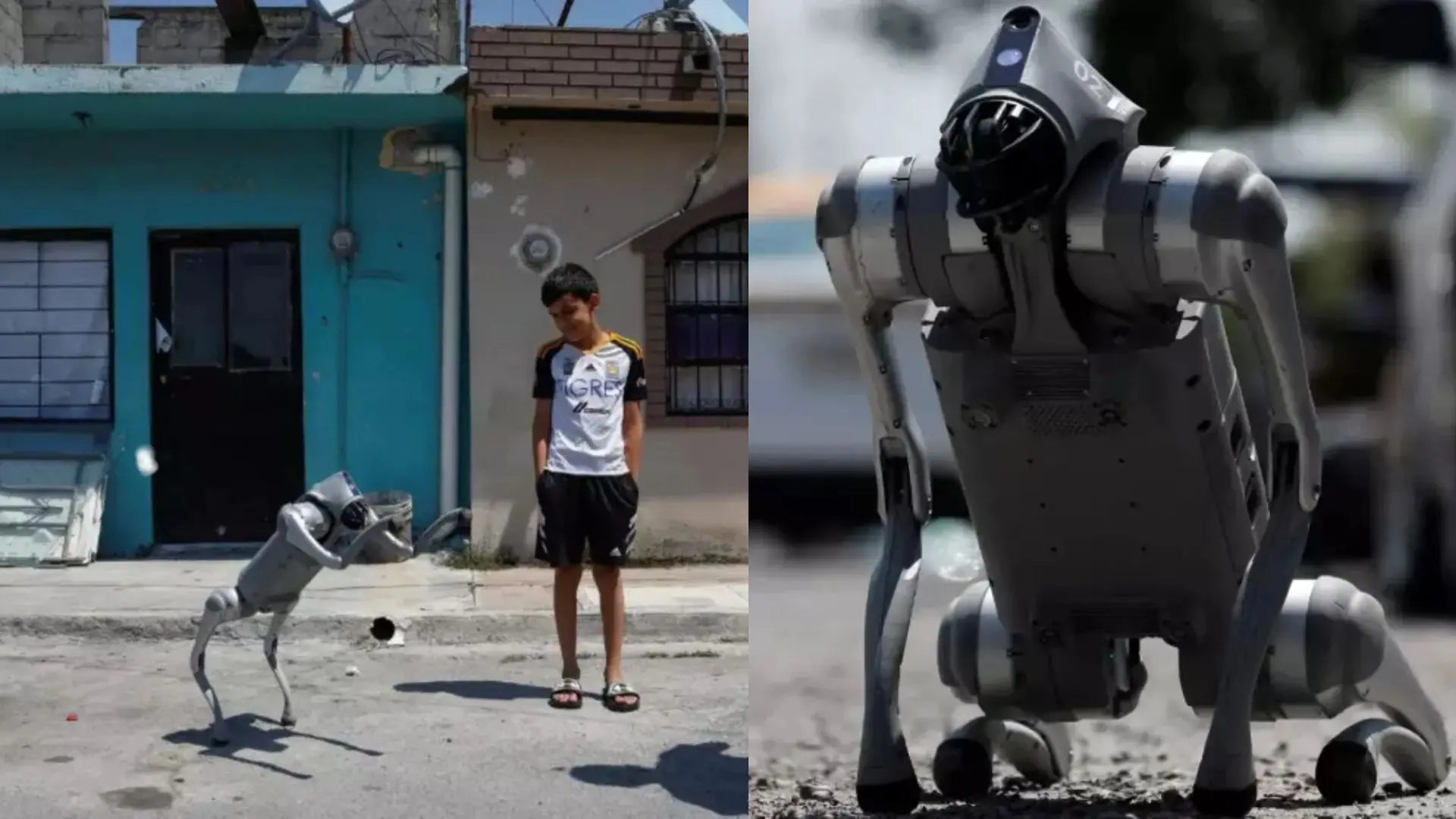 Waldog, el perro robot que lucha contra el maltrato animal en Mexico