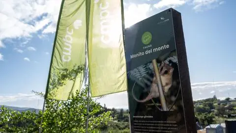 Parque CMPC Junquillar da la bienvenida al Campeonato Nacional de Downhill Chile 2025