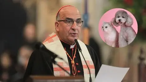 Cardenal Chomalí encabezará “Bendición de Mascotas” vía online: Dónde y cuándo se podrá ver