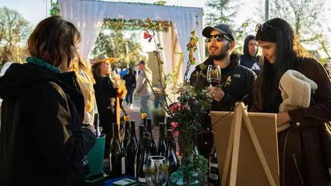 Día Nacional del Vino: Portezuelo será el epicentro de la celebración con más de 90 expositores y viñas locales