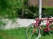 Adolescente de 17 años quedó con internación provisoria tras intentar robar bicicletas en San Carlos
