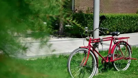 Adolescente de 17 años quedó con internación provisoria tras intentar robar bicicletas en San Carlos