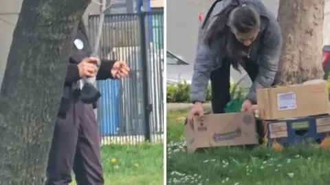 “Se las vende a un restaurante por luca”: Alertan insólita caza de palomas en sectores de Santiago