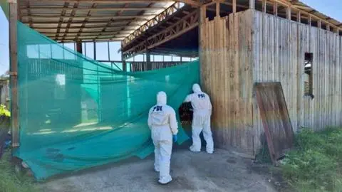 Encuentran el cadáver de un hombre de 61 años calcinado y con una pierna amputada al interior de un galpón en Algarrobo