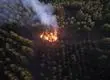 Tres focos de incendio en Penco encienden las alertas de Corma por posible intencionalidad