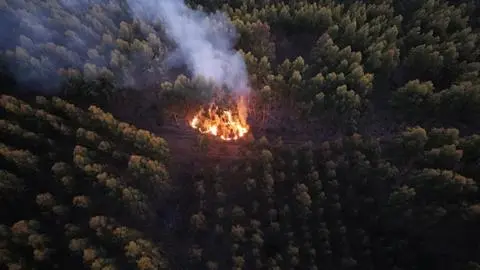 Tres focos de incendio en Penco encienden las alertas de Corma por posible intencionalidad