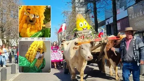 La historia del Choclín de Hualqui: del bullying al estrellato que lo lleva a sacar aplausos paseando en carreta por Concepción
