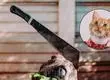Hombre sufrió la amputación de un brazo tras ataque con machete en San Juan de la Costa: Vecino lo acusó de mojar a su gato