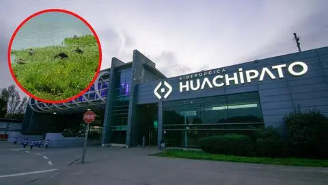 La desconocida laguna de Huachipato que el proyecto futuro de la empresa quiere proteger
