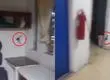 “¡Déjenlo dormir!”: Registran ‘visita’ de murciélago a edificio del SAMU Concepción