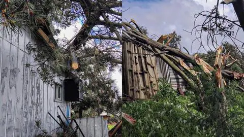 “Pensamos que la casa iba a salir volando por el viento”: Árbol cae sobre un hogar tras tromba marina en San Pedro de la Paz