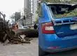 Dueño de vehículo que le cayó un árbol encima en Ñuñoa pide que Municipalidad responda