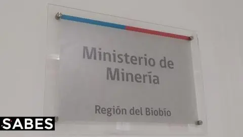 Gobierno nombra a Dusan Marinovic como nuevo seremi de Minería en el Biobío