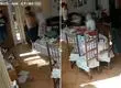 Cobarde delito: Detienen a tres sujetos por asaltar a adulta mayor con alzhéimer en Lampa