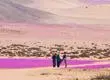 Chile se corona con cinco galardones en los Óscar del Turismo 2025