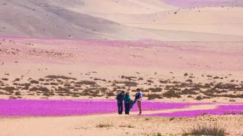 Chile se corona con cinco galardones en los Óscar del Turismo 2025