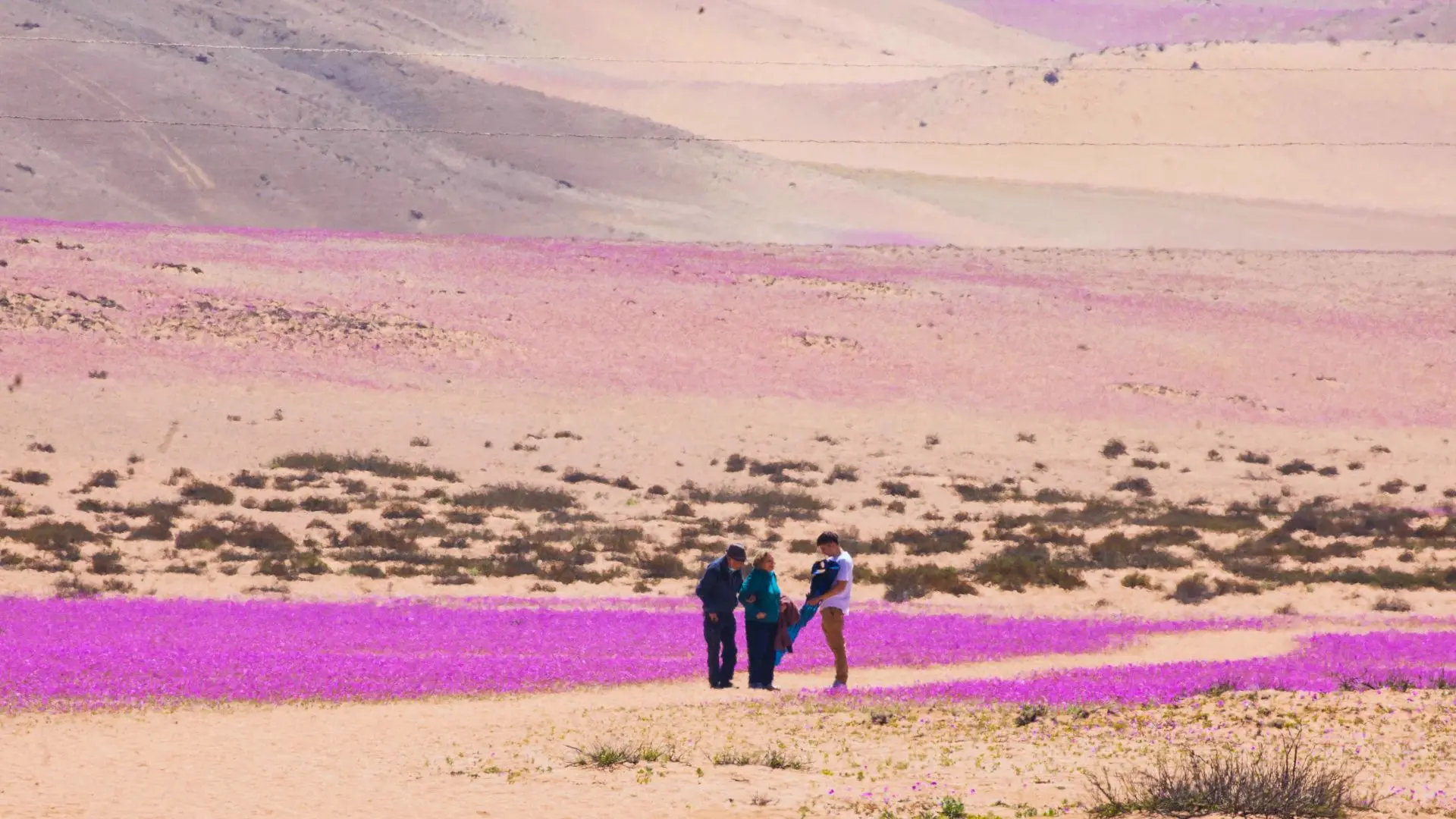 Chile se corona con cinco galardones en los Óscar del Turismo 2025